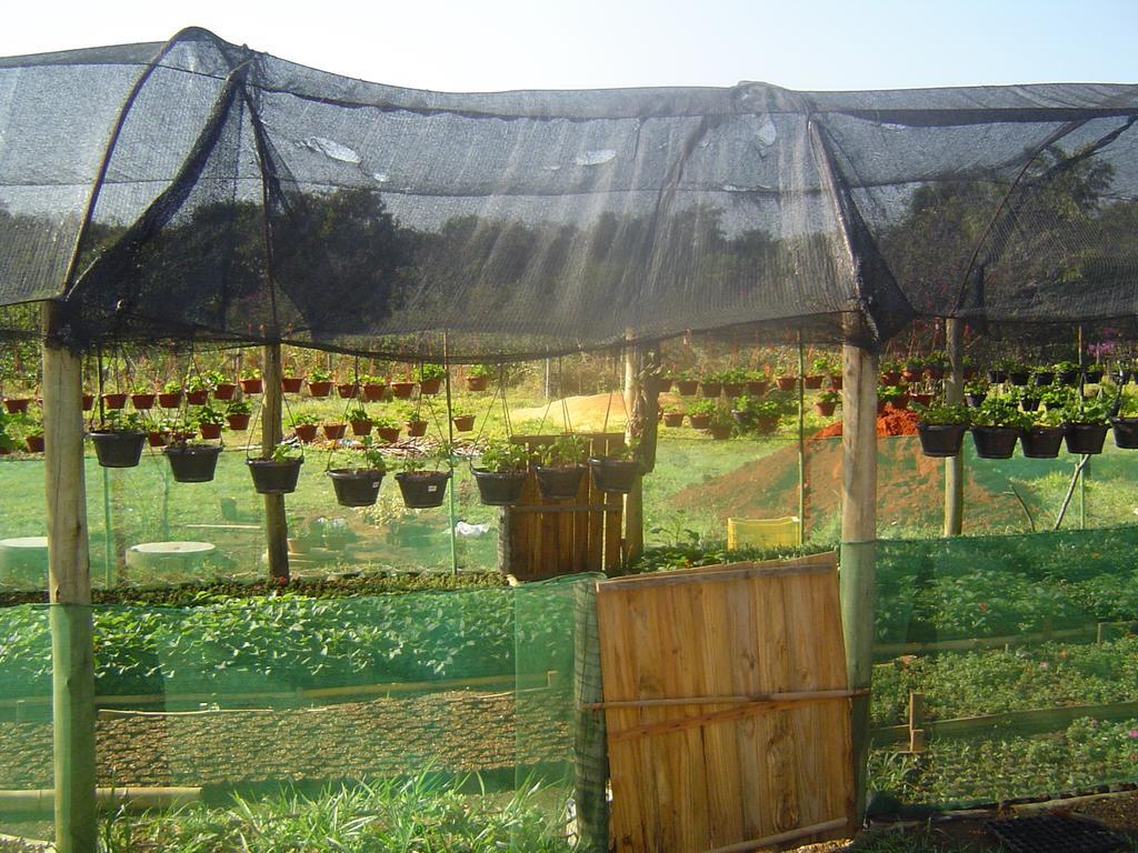 Pousada Estancia Macaubas - Sao Roque de Minas ภายนอก รูปภาพ